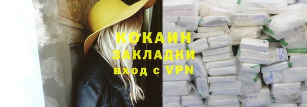 ГАЛЛЮЦИНОГЕННЫЕ ГРИБЫ Заводоуковск