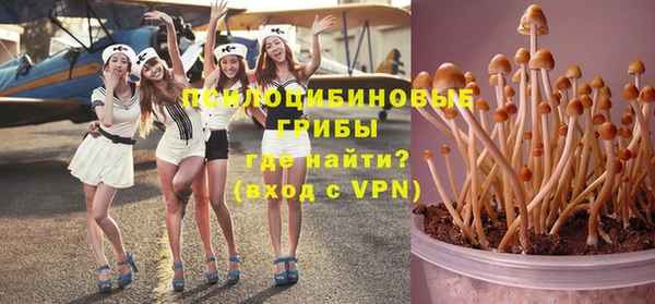 ГАЛЛЮЦИНОГЕННЫЕ ГРИБЫ Заводоуковск