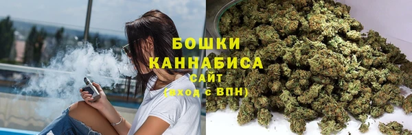 ГАЛЛЮЦИНОГЕННЫЕ ГРИБЫ Заводоуковск
