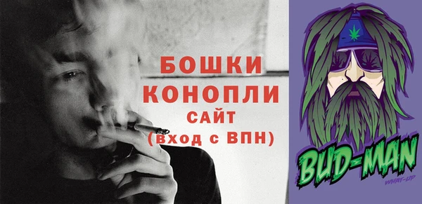 ГАЛЛЮЦИНОГЕННЫЕ ГРИБЫ Заводоуковск