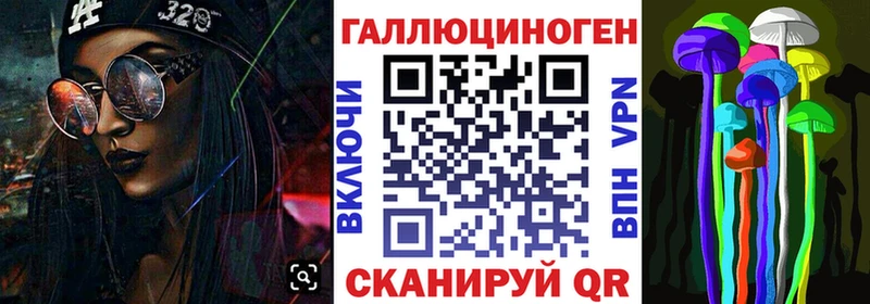 Купить закладки  Шумерля  Галлюциногенные грибы Psilocybine cubensis 